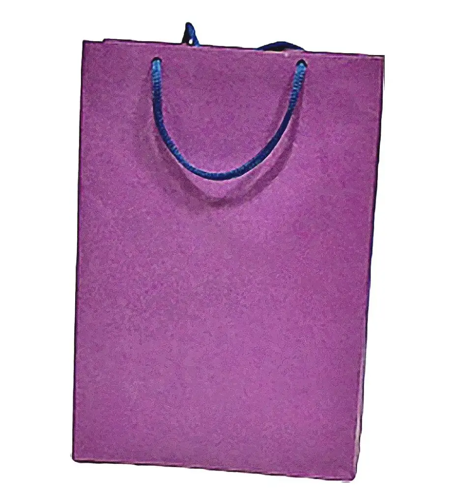 Bolsas Cartulina Color
